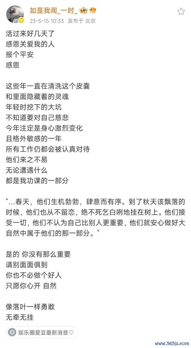 朴树仿佛在告别 每一次出现齐弥足罕有