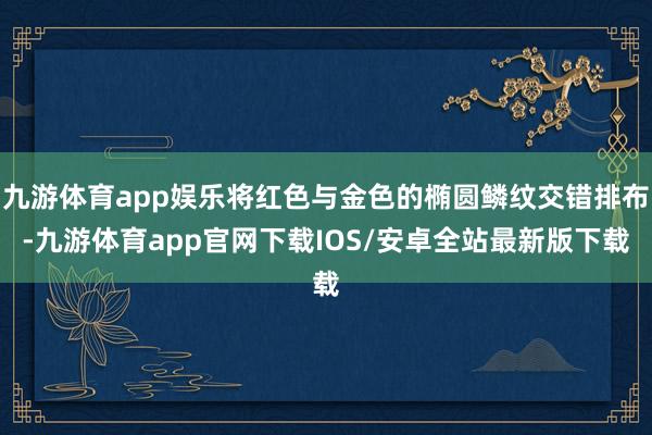 九游体育app娱乐将红色与金色的椭圆鳞纹交错排布-九游体育app官网下载IOS/安卓全站最新版下载