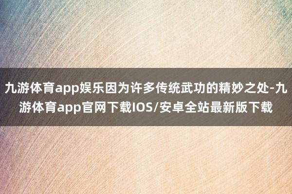 九游体育app娱乐因为许多传统武功的精妙之处-九游体育app官网下载IOS/安卓全站最新版下载