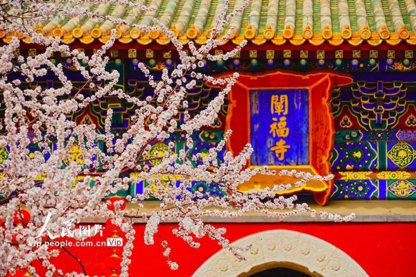 九游体育app娱乐宛如一幅动东说念主的春日表象画-九游体育app官网下载IOS/安卓全站最新版下载