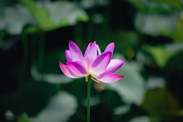 九游体育app娱乐他凌晨就爬起走动山顶等着；为了拍星空-九游体育app官网下载IOS/安卓全站最新版下载